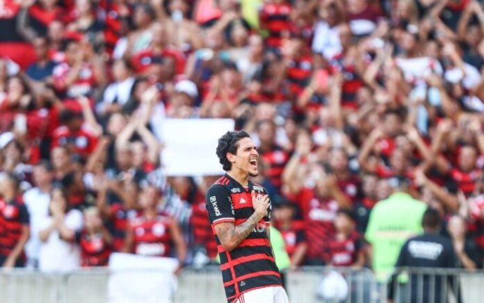 COD - PEDRO FLAMENGO