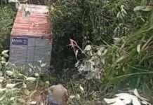 Caminhão sai da pista e invade área de mata próxima ao Musa na Zona Leste de Manaus
