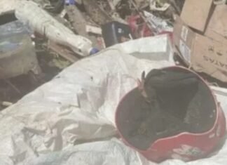 Perna humana é encontrada durante limpeza de igarapé em ManausMANAUS, SÃO RAIMUNDO, SEMULSP, ENCONTRO DE MEMBRO, PERÍCIA, INVESTIGAÇÃO