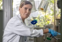 Proteína brasileira faz cachorro voltar a andar após lesão na medula