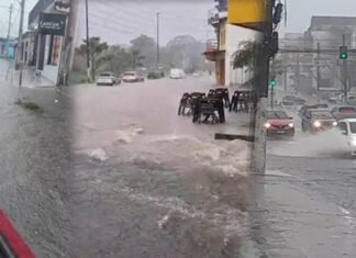 Temporal provoca quatro ocorrências e mobiliza Defesa Civil em Manaus