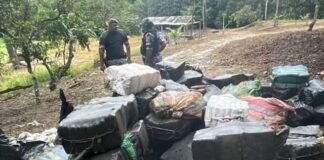 Seis policiais militares são presos com quase três toneladas de drogas em Manaus