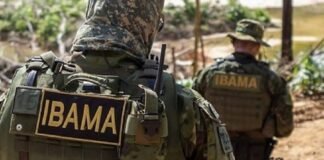 Fiscais do Ibama sofrem emboscada durante operação contra madeira ilegal no Amazonas