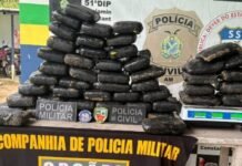 Polícia apreende 59 quilos de maconha avaliados em R$ 1,1 milhão no interior do AM