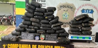 Polícia apreende 59 quilos de maconha avaliados em R$ 1,1 milhão no interior do AM