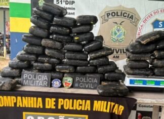 Polícia apreende 59 quilos de maconha avaliados em R$ 1,1 milhão no interior do AM