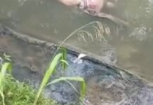 Corpo é encontrado em igarapé na Avenida Brasil em Manaus