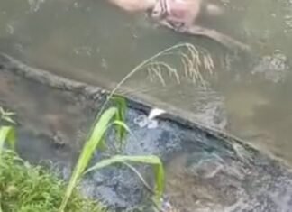 Corpo é encontrado em igarapé na Avenida Brasil em Manaus