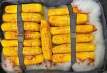 Polícia Federal apreende 37 kg de skunk no Aeroporto de Manaus