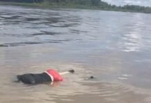 Homem é encontrado morto próximo à Comunidade São Raimundo no Amazonas