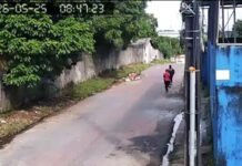 Assaltantes armados invadem concessionária de motos em Manaus