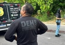 Homem é encontrado morto em área de mata no Cidade Nova em Manaus