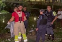 Mulher é encontrada morta em igarapé na Zona Sul de Manaus