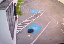 Câmeras flagram homem furtando fiação de loja na Zona Leste de Manaus