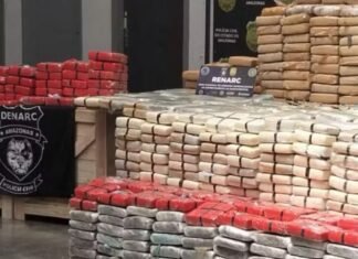 Denarc apreende 700 kg de skunk avaliados em R$ 14 milhões e prende suspeito em Manaus