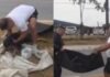 Polícia Militar resgata cachorro ferido após atropelamento na Zona Leste de Manaus