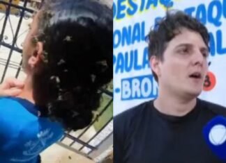 Motoboy leva 40 picadas de abelha ao tentar salvar criança em ataque perto de escola