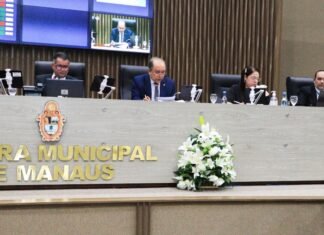 CMM aprova projeto que prevê pontos de recarga para veículos elétricos em estacionamentos de Manaus